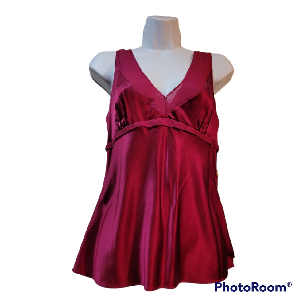 NWT EXPRESS silk camisole